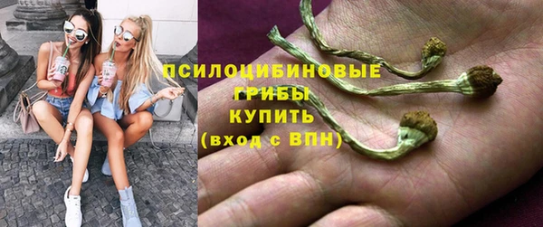 соль ск Абдулино